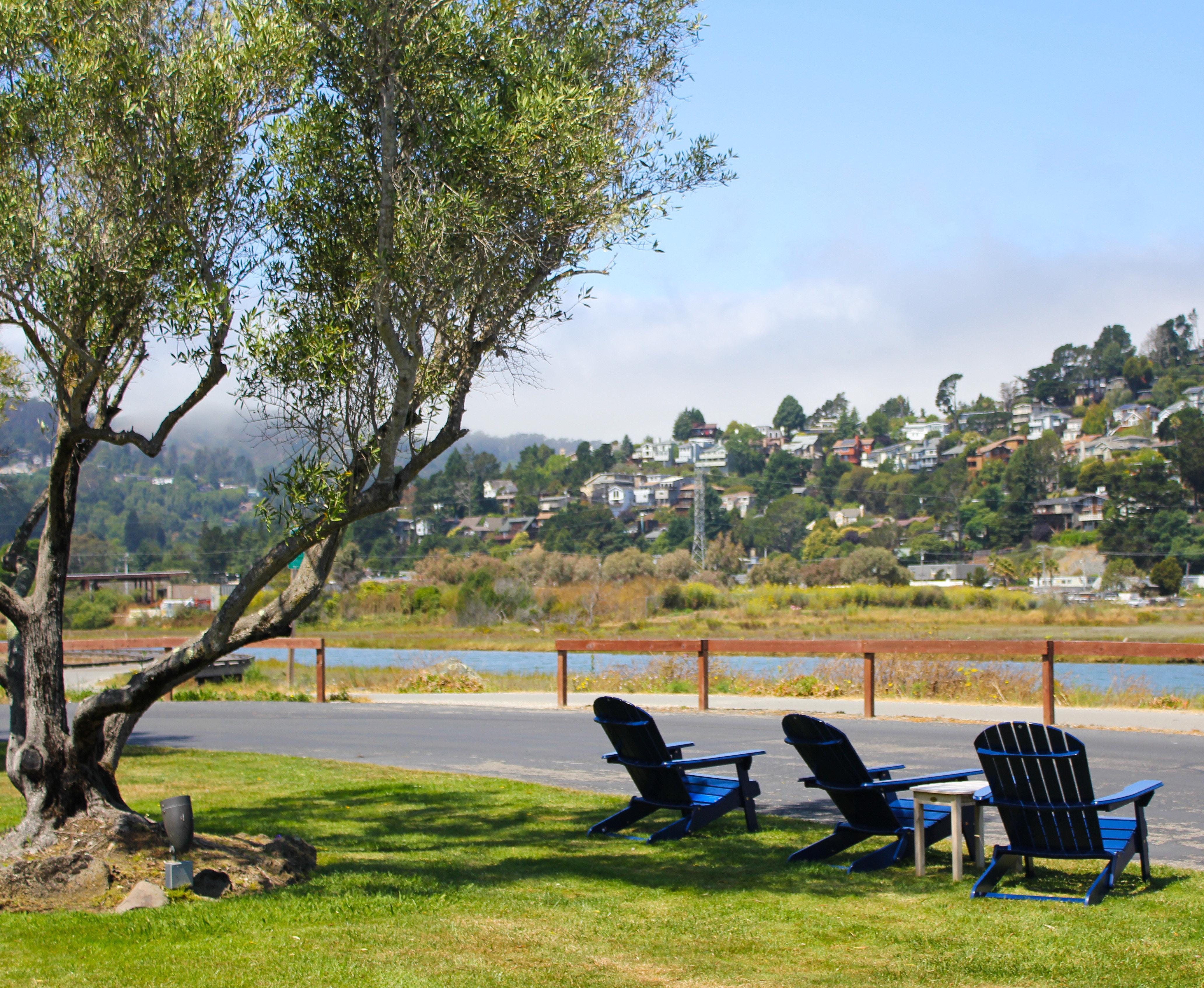 Holiday Inn Express Mill Valley San Francisco Area By Ihg Exterior photo