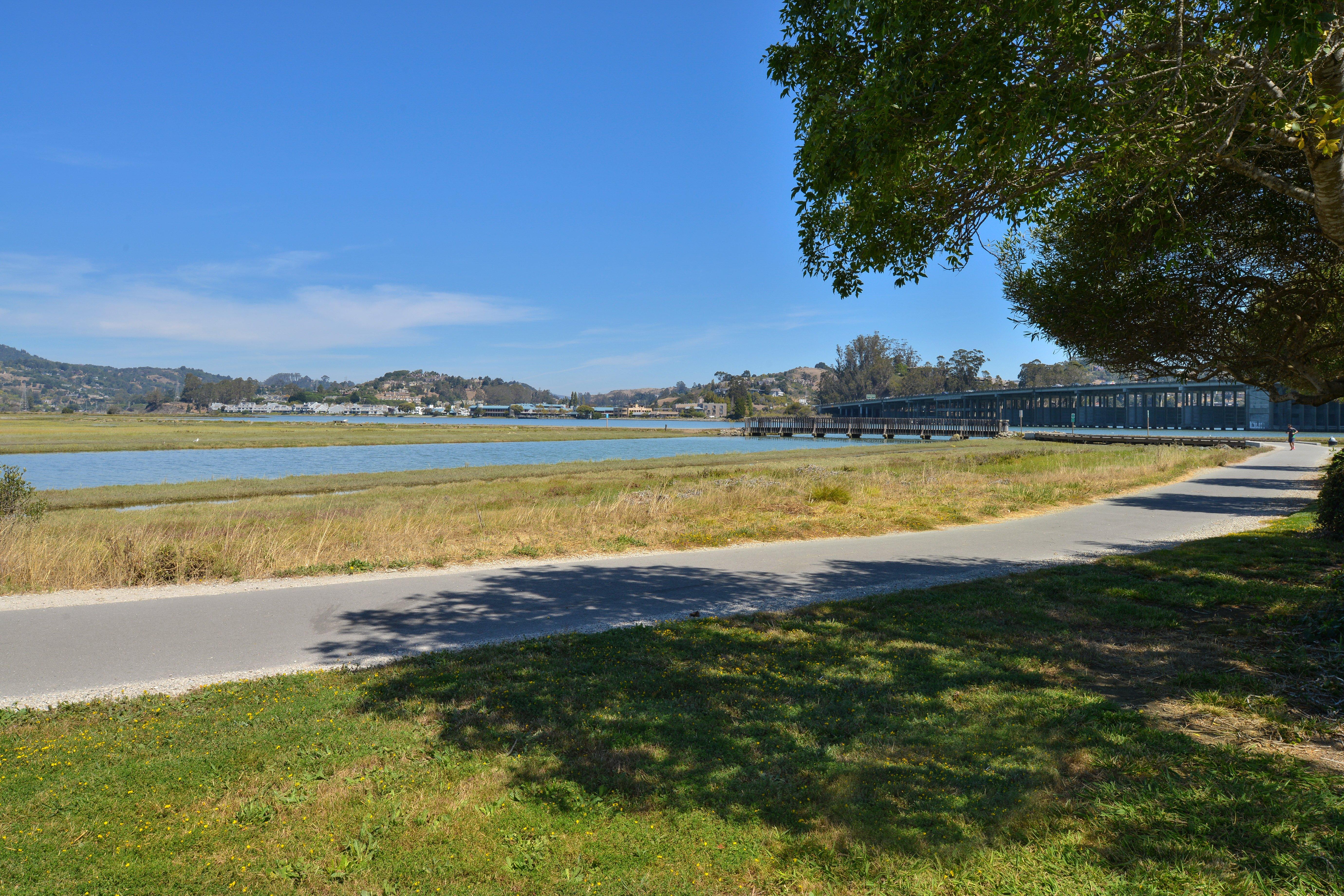 Holiday Inn Express Mill Valley San Francisco Area By Ihg Exterior photo